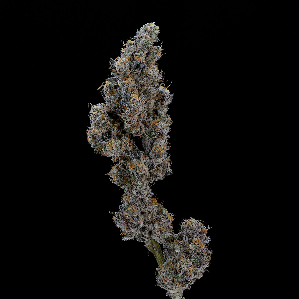 our-strains-kush-mints